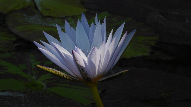 深入解析香港六合彩正码3：彩票的魅力与品牌力量